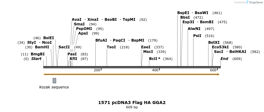 18069_map
