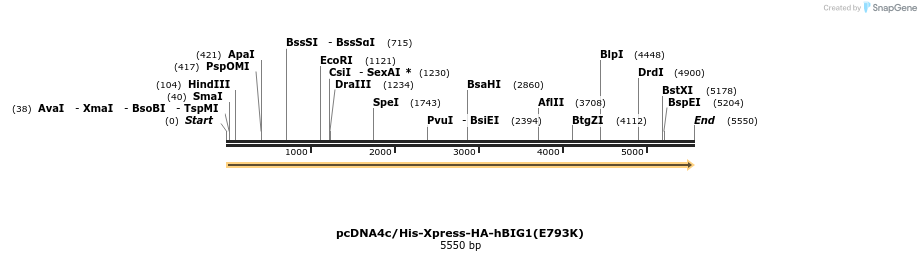180704_map