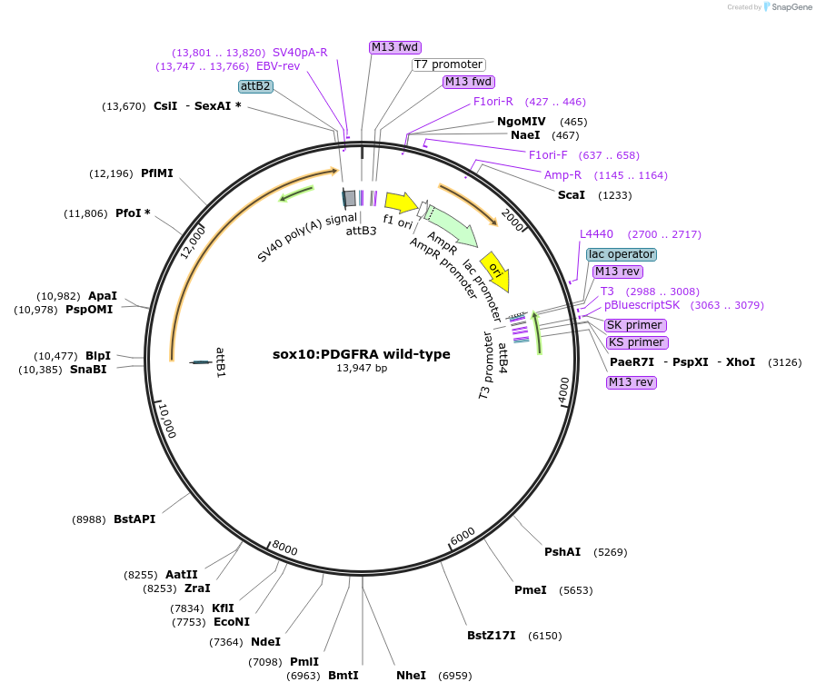 180712_map
