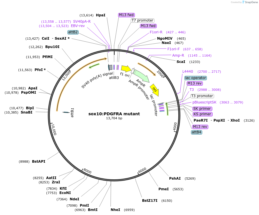 180713_map