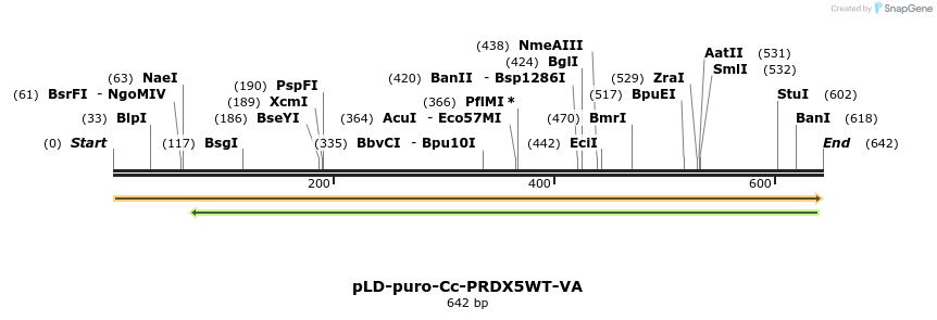 180723_map