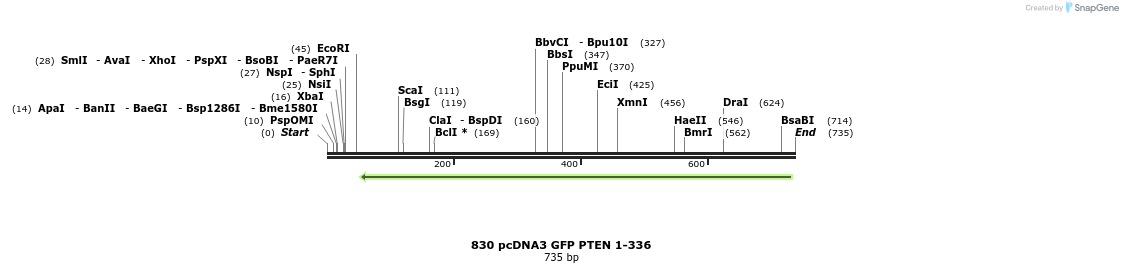 18074_map