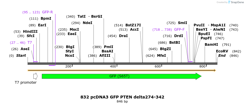 18075_map