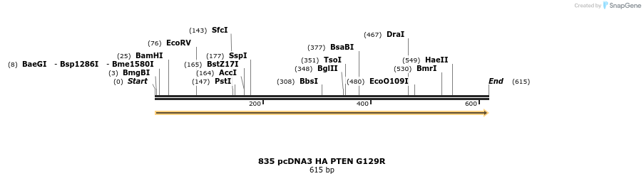 18077_map