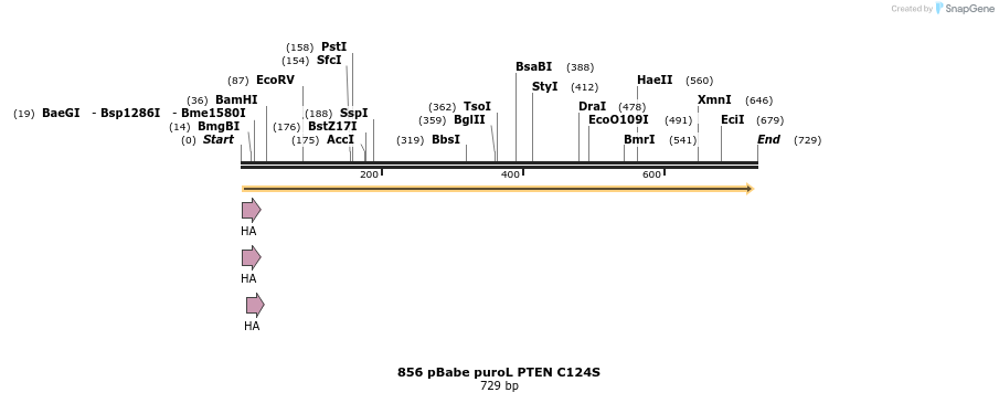 18078_map