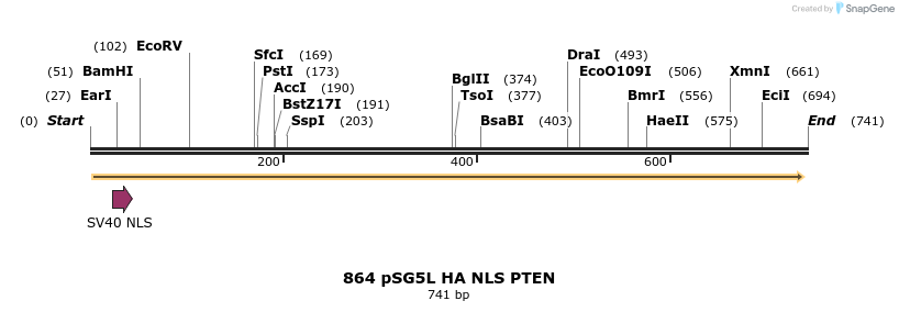 18080_map