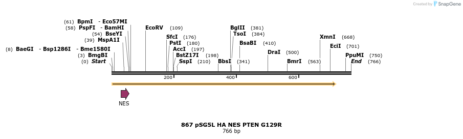 18081_map