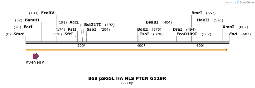 18082_map