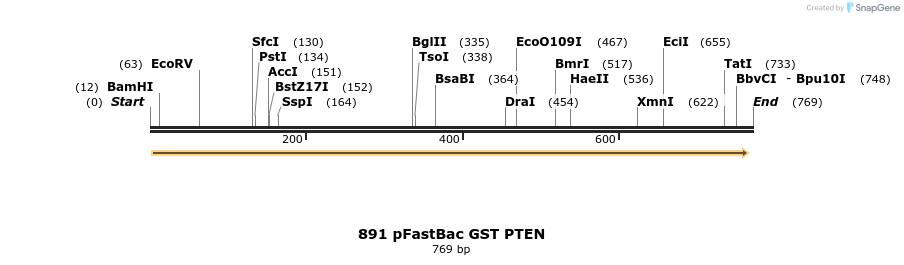 18084_map