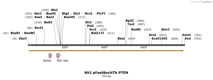 18085_map