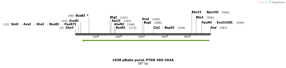 18086_map