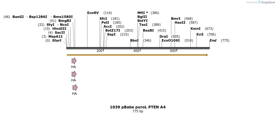 18087_map