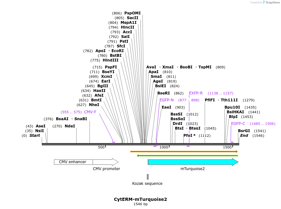 180879_map