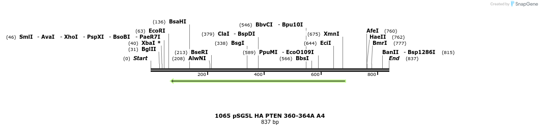 18088_map