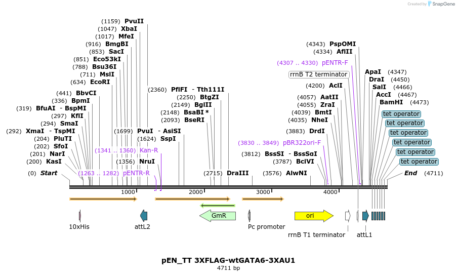 180889_map