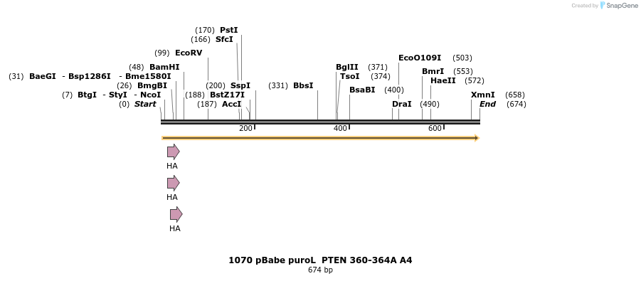 18089_map