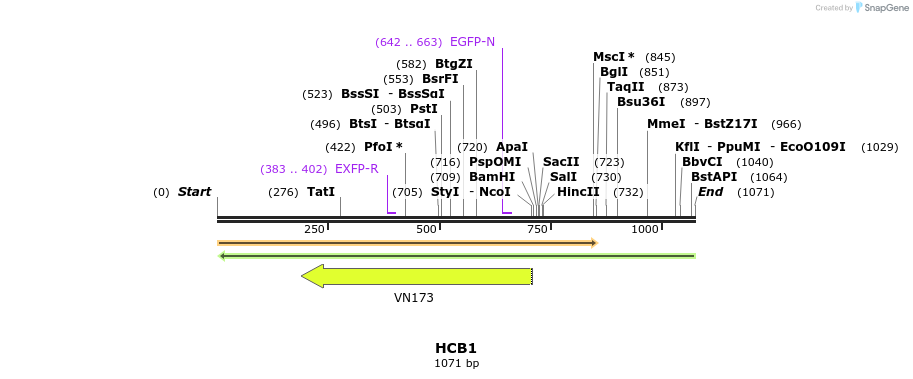 180893_map