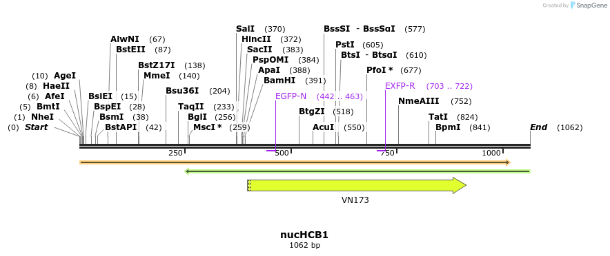 180894_map