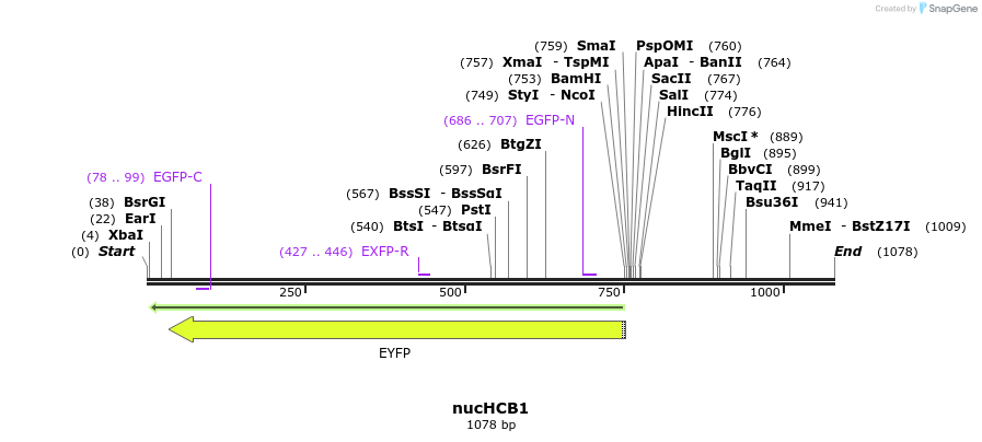 180895_map