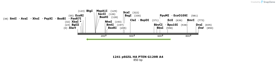 18091_map