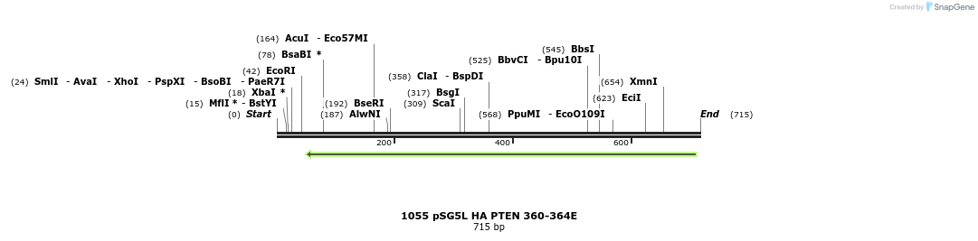 18093_map