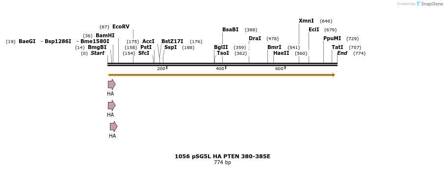 18094_map