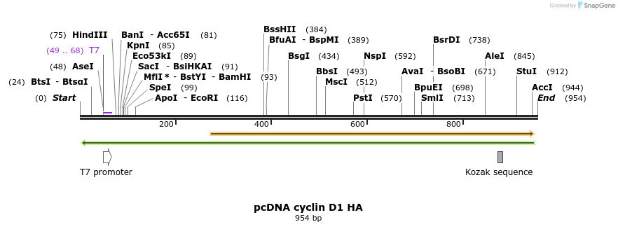 18097_map