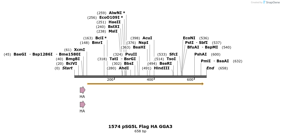 18103_map