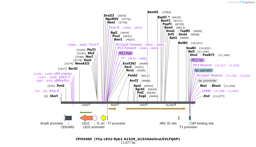 181037_map