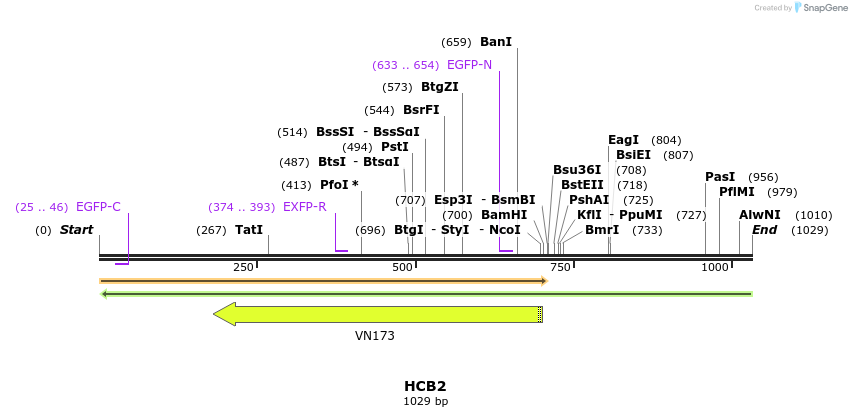 181039_map
