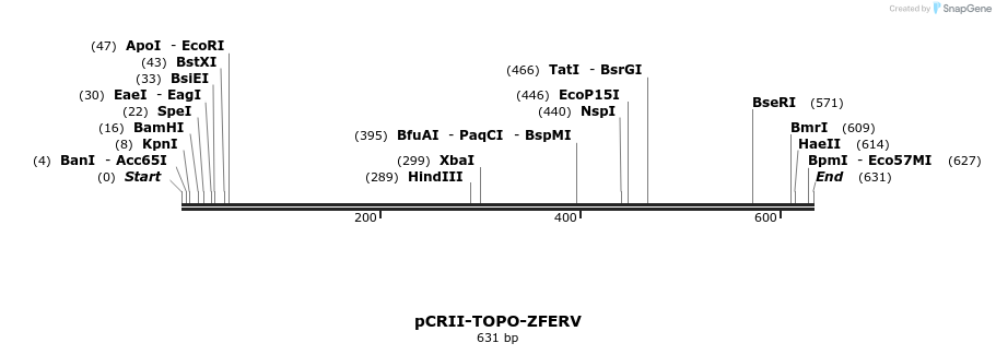 18105_map