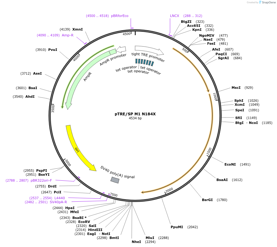 181059_map