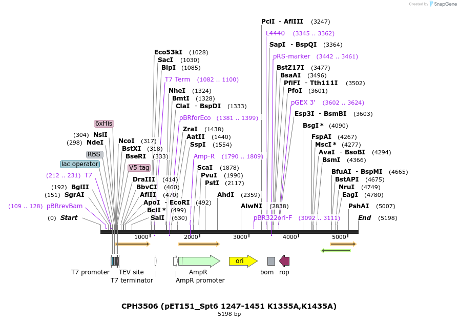 181073_map