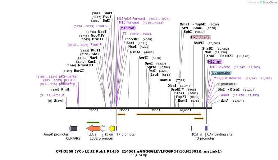 181074_map