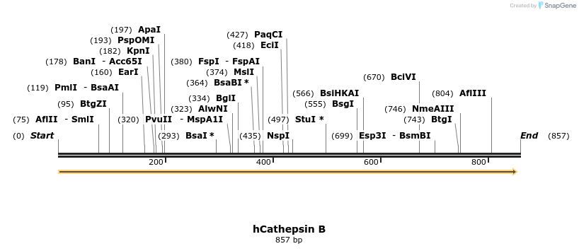 18111_map
