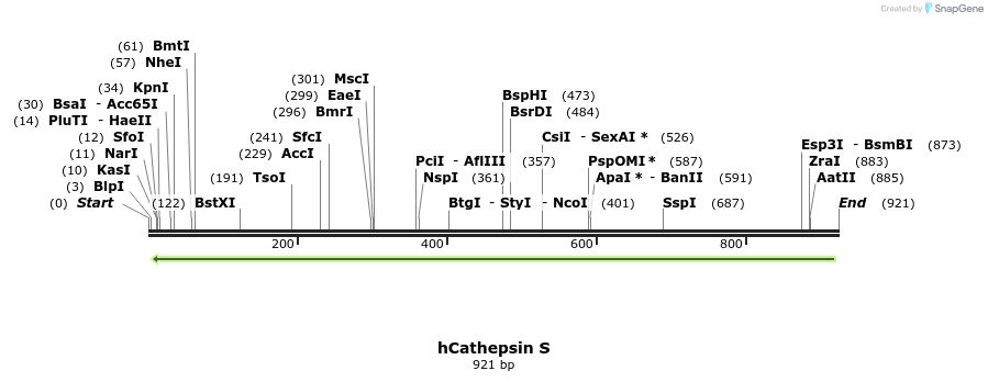 18114_map