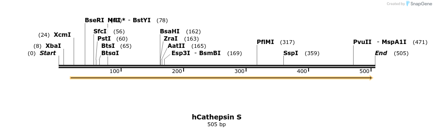 18115_map