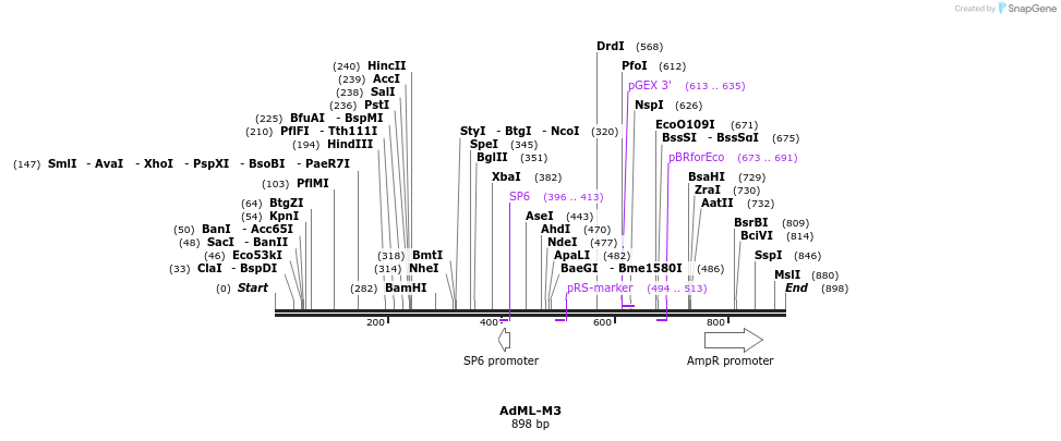 18116_map