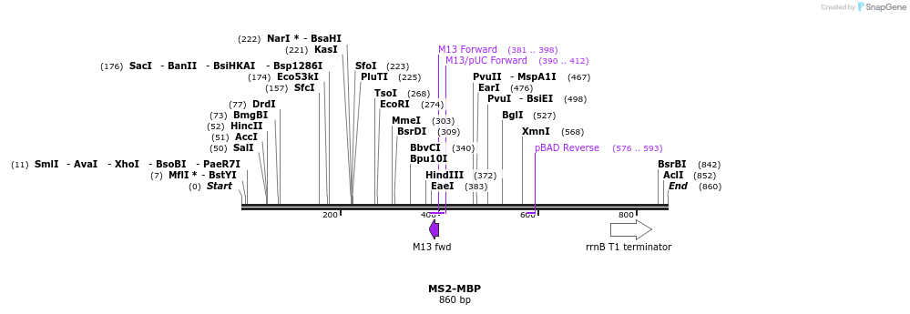 18118_map