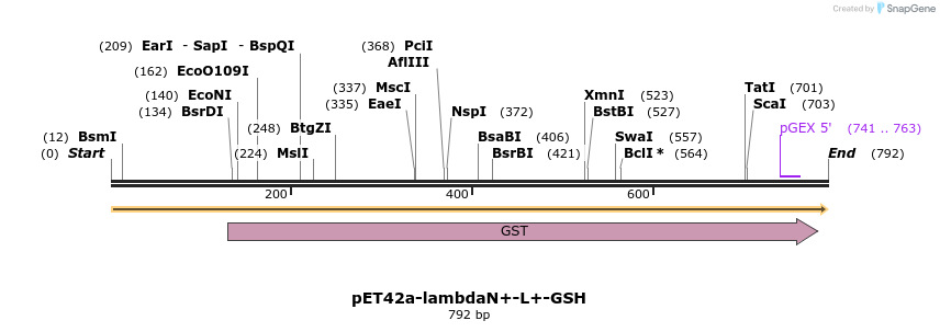 181209_map