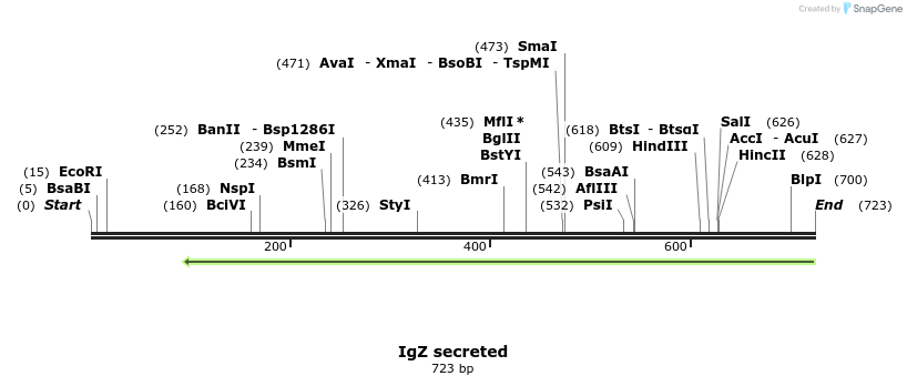 18125_map