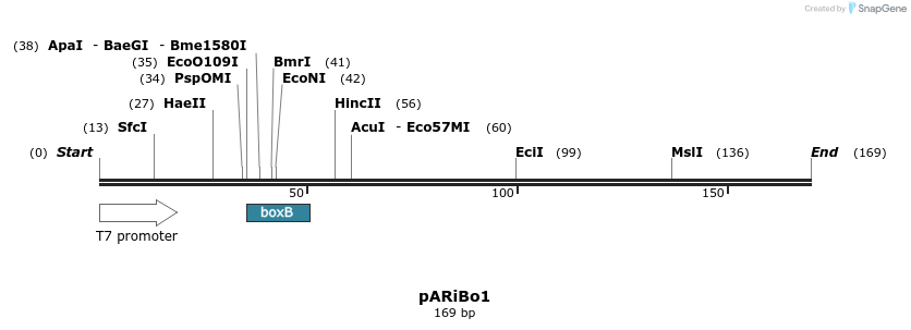 181252_map