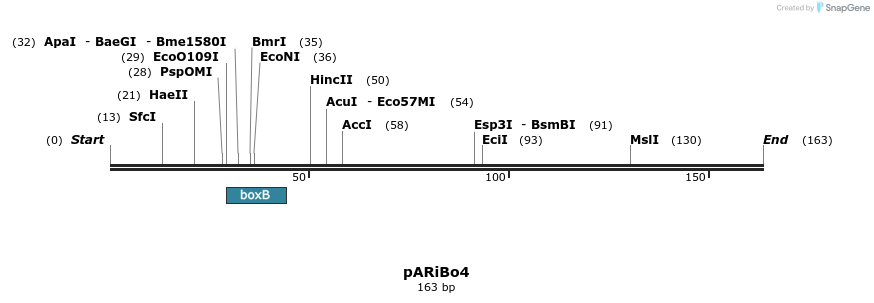 181256_map