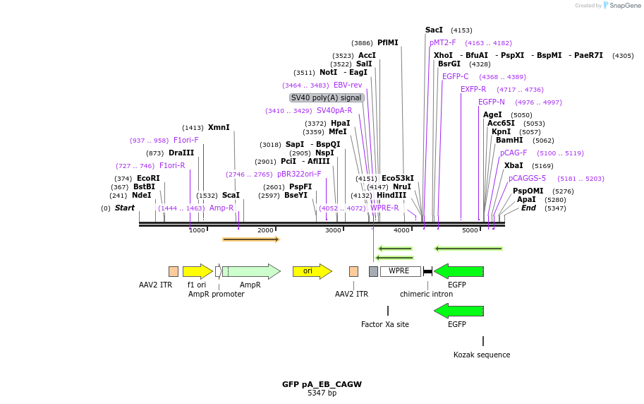 181289_map