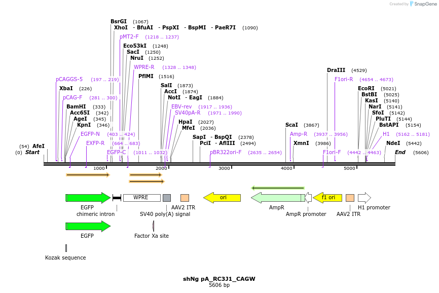 181291_map