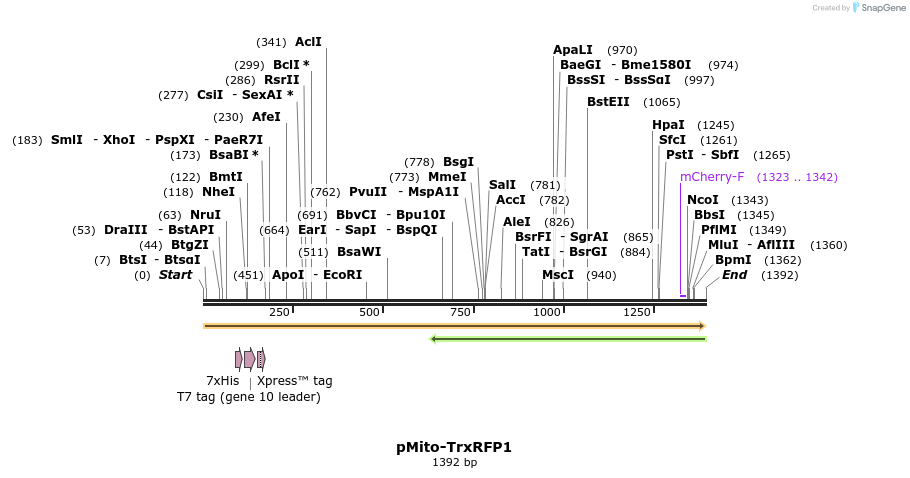 181306_map