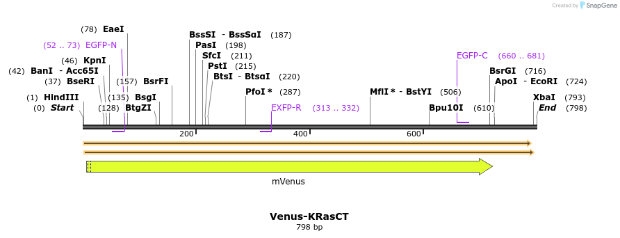 181366_map