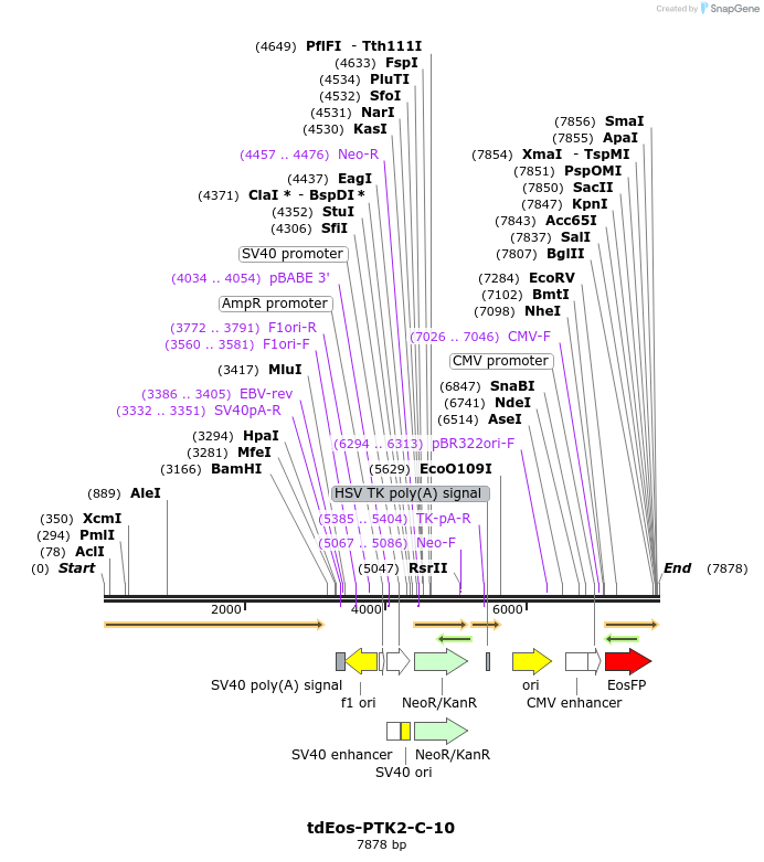 182211_map