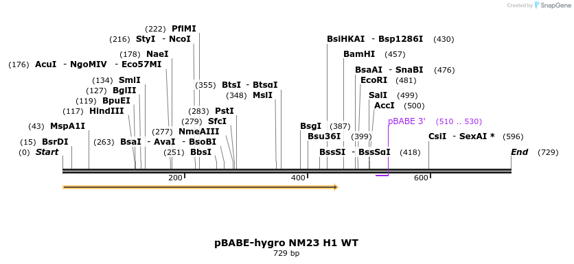 18222_map
