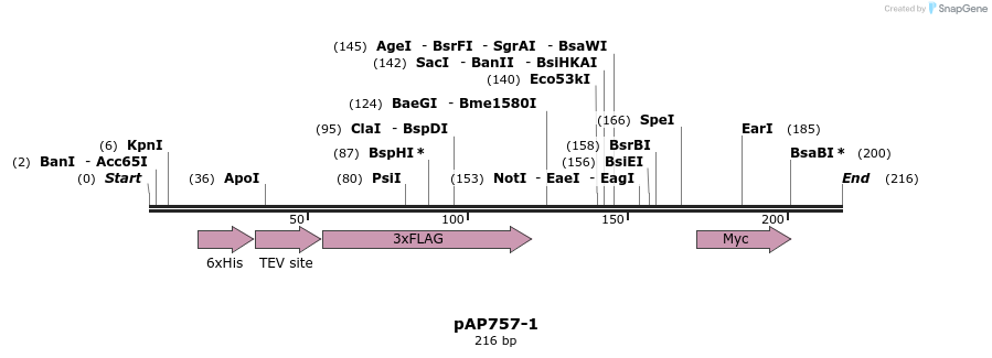 182222_map